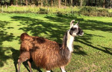 Monte do Lago, Pegões - Foto 57