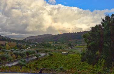 Raposa Verde - Agroturismo - Foto 6