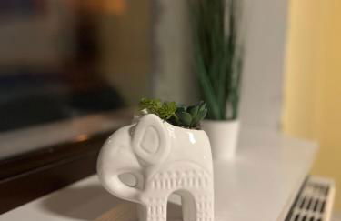 Yellow Home - Photo 17