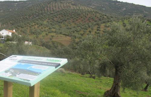 Cortijo "Era Grande 2" - Foto 54