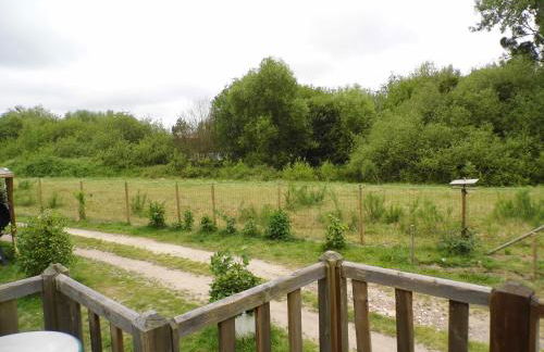 le petit marais n1 - Photo 9