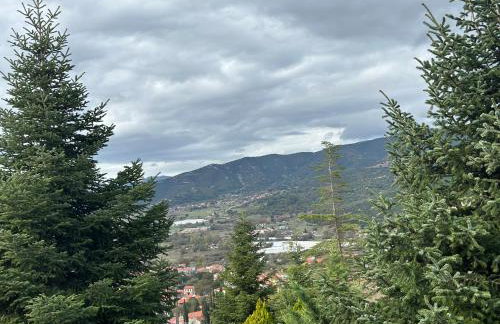 Ski Suites - Family Maisonette Kalavryta - Photo 34