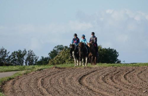 Ostseebauernhof Schönhagen - Foto 25