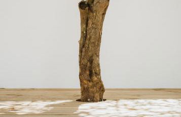 Kodu Lodge - spacious 2 storey coastal home with balcony, sea view, garden & BBQ - Foto 39