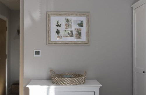 Seashells - Foto 29