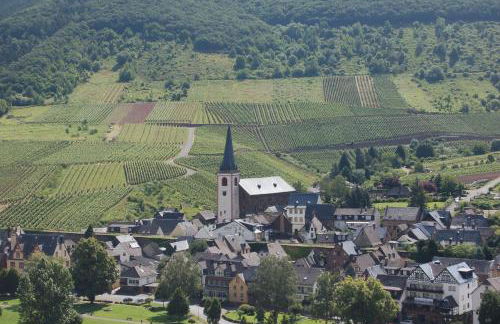 Ferienhaus Mosel Bub - Foto 29