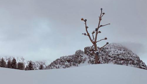 mansardacourmayeur - Foto 5