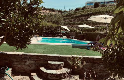 Quinta da Casa Cimeira, Guest House, Wines & Food - Foto 27