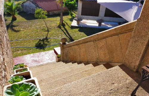 LA CAMELIA - Foto 15