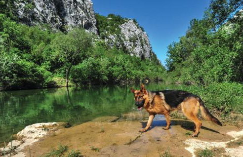 Beautiful Home In Kostanje With Wifi - Photo 42