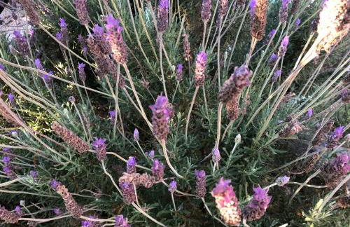 Beautiful Farm House - Foto 23