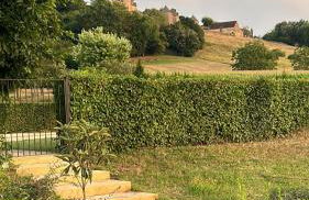 le bois de Selves - Maison authentique avec vue exceptionnelle - Foto 25