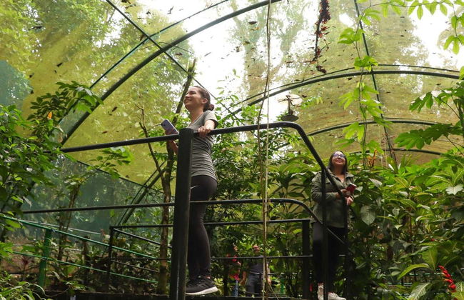 Biglietti per il parco Rainforest Atlantic - Foto 10