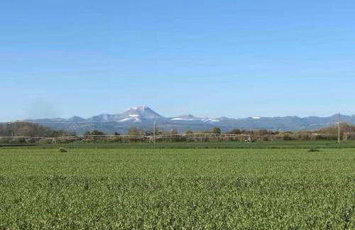 fattoria Coppetella Cemani - Photo 22