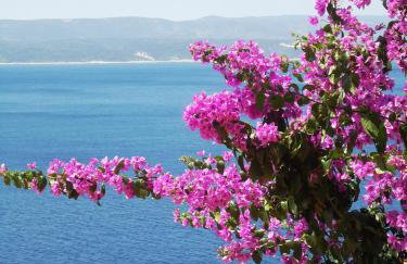 Family home away on the beach, free parking at the house - Foto 47