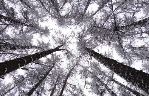 Gîtes Les Garianes - Foto 15