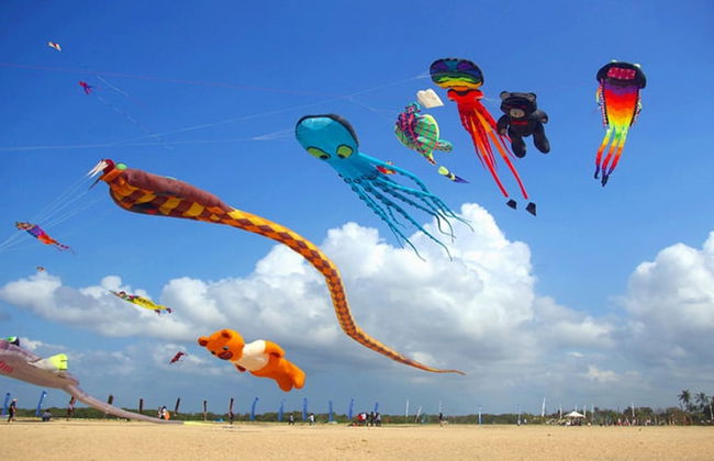 Villa Livo - Foto 24