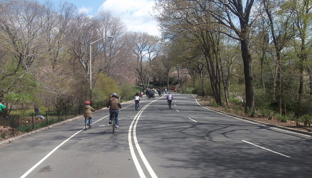 Alquiler de bicicletas en Central Park - Foto 3