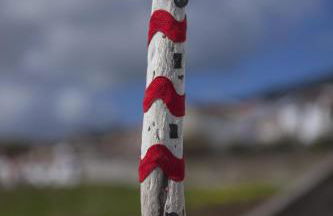 Água de Alto Terrace House - Photo 26