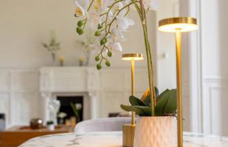 Hôtel particulier - Le 119 - Foto 19