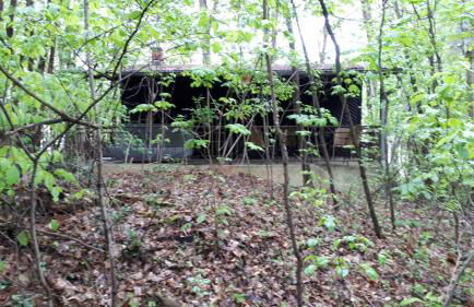 Waldhaus Wiesengrund - Foto 12