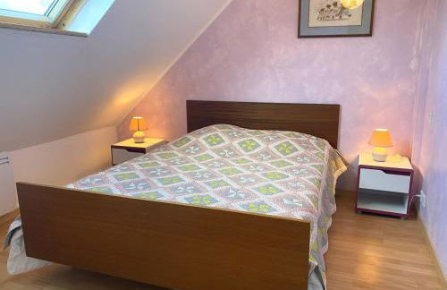 Maison 3* à l'Ile Grande, 200m plages, 6 pers, WIFI, parking, BBQ, proche GR34 - FR-1-368-187 - Foto 16