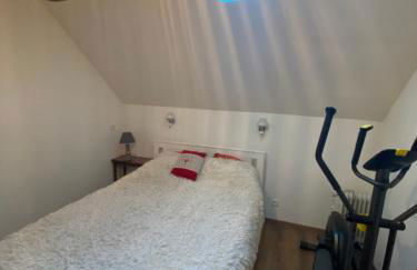 Coco Bonnevie - Photo 11