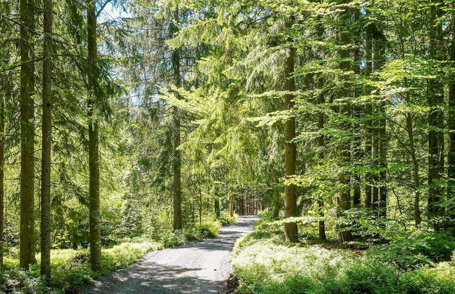 Lakefront House With Terrace - Foto 31