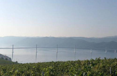 Fig Tree Apartment - Foto 28