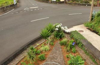 Casa da Cascata - Foto 5