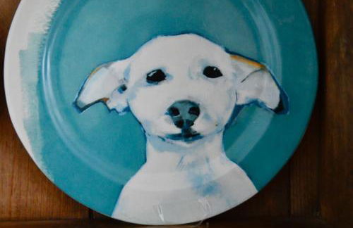 Cosy cottage in Bridport centre - Photo 49