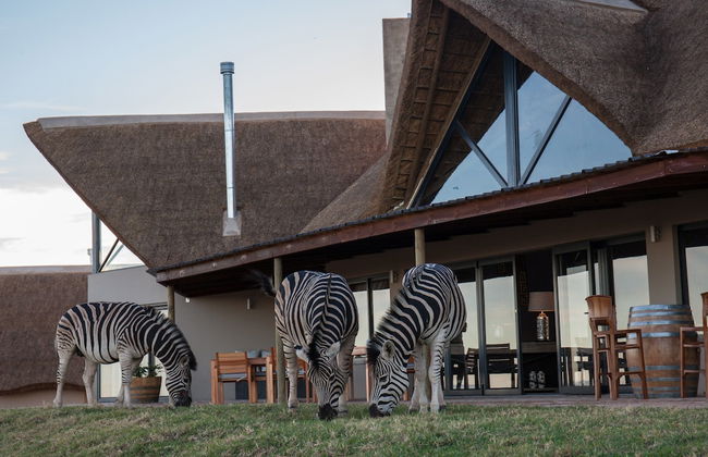 JBay Zebra Lodge - Photo 79