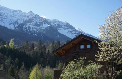 Chalet Indépendant " L'anfian-ne" - Foto 13