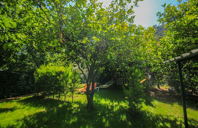 Cirali Villa Zeytin - Foto 56