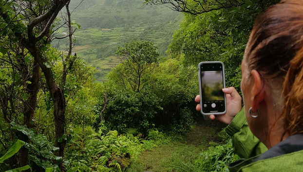Capturing the natural landscapes