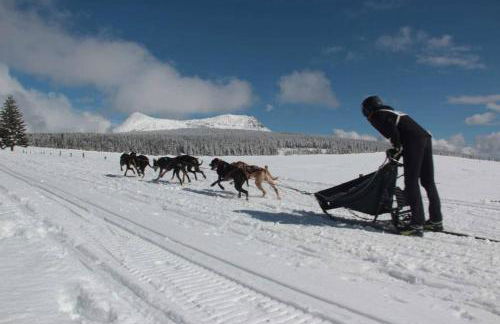 Le "Refuge" douillet, chaleureux, soins bien-être - Foto 42