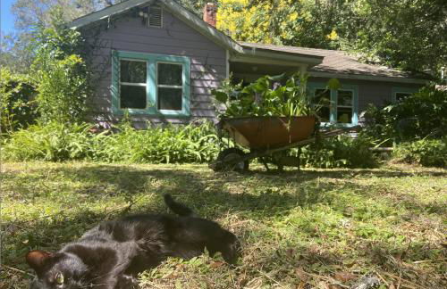 Creatives Retreat for Artists & Lovers - Foto 24