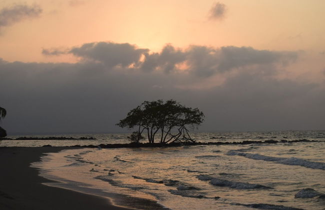 CABAÑAS PLAYA TIBURON - Photo 8