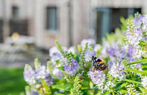 3 Bed in Penzance oc-75635 - Foto 9