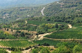 Rapsani Panorama Villa - Photo 78