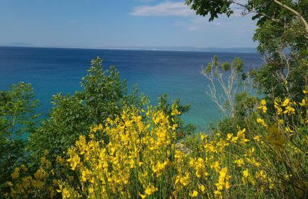 STUDIO APARTMAN STARA BAŠKA - Foto 38