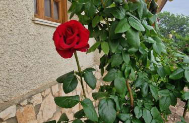 Villa los Dulces-Piscina Privada - Foto 61