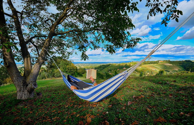 Holiday House Podhamer Boris - Foto 42