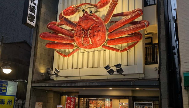 Tour noturno por Hiroshima - Foto 5, Você vai adorar o tour noturno por Hiroshima