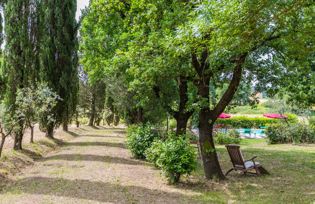 Tenuta La Colonna - Photo 75