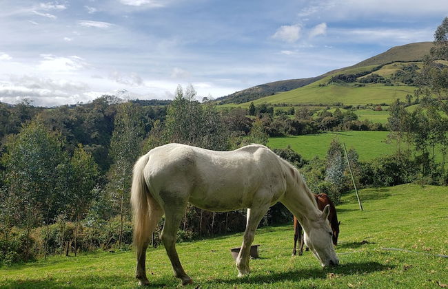 Rumipamba del Zuro Casa Hacienda - Photo 24