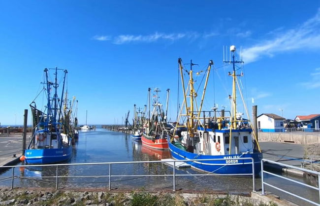 Sun, Mudflats and sea - Foto 27