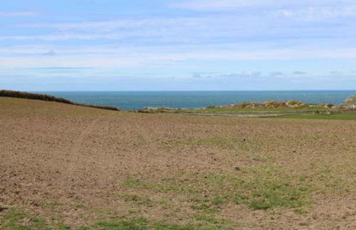 Llety'r Bugail - Foto 13