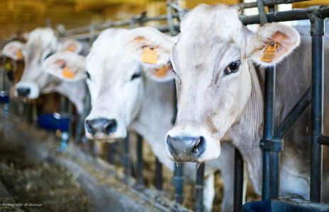 Agriturismo La Valle degli Ulivi - Foto 6