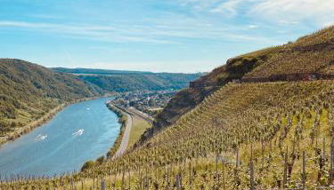 Winelicious - Arrive & Enjoy - Foto 5